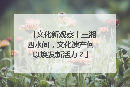 文化新观察丨三湘四水间，文化遗产何以焕发新活力？